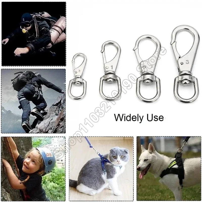 Slide image 97819c22f4664eafb183de75bb75f7de