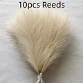 Style 1 Beige