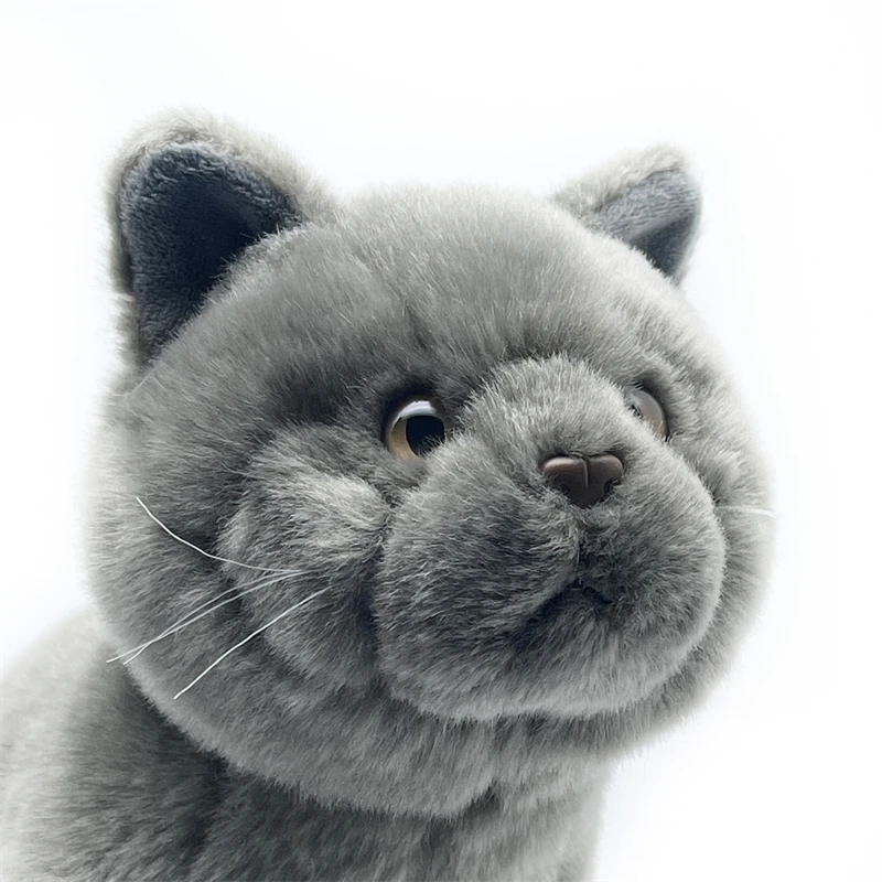 Realistic British Shorthair Cat High Fidelity Cute Plushie Felinae Plush Toys Lifelike Animals Simulation Stuffed Doll Kawai Toy 5