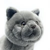 Realistic British Shorthair Cat High Fidelity Cute Plushie Felinae Plush Toys Lifelike Animals Simulation Stuffed Doll Kawai Toy 5