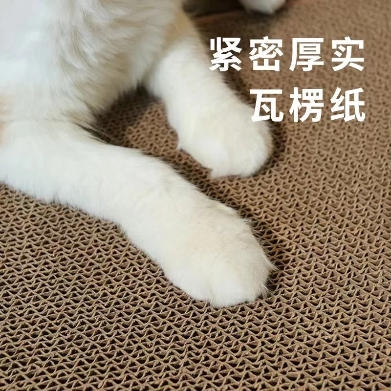 172041-a21c4d.jpg