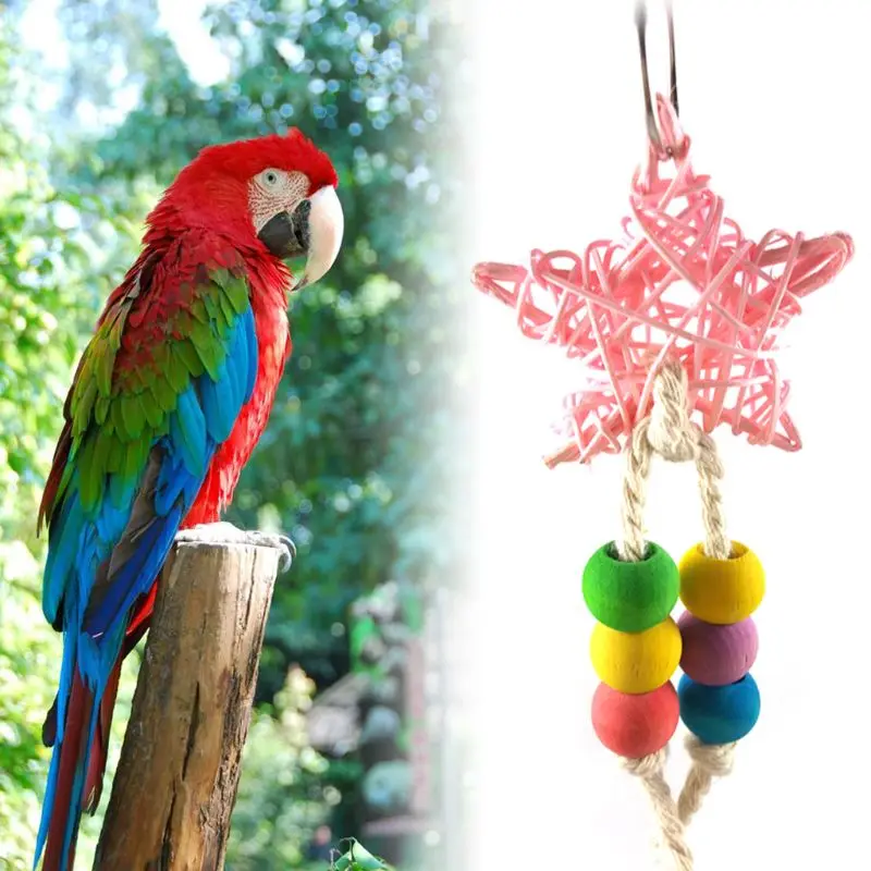 Colorful Rattan and Wooden Bead Chew Toy