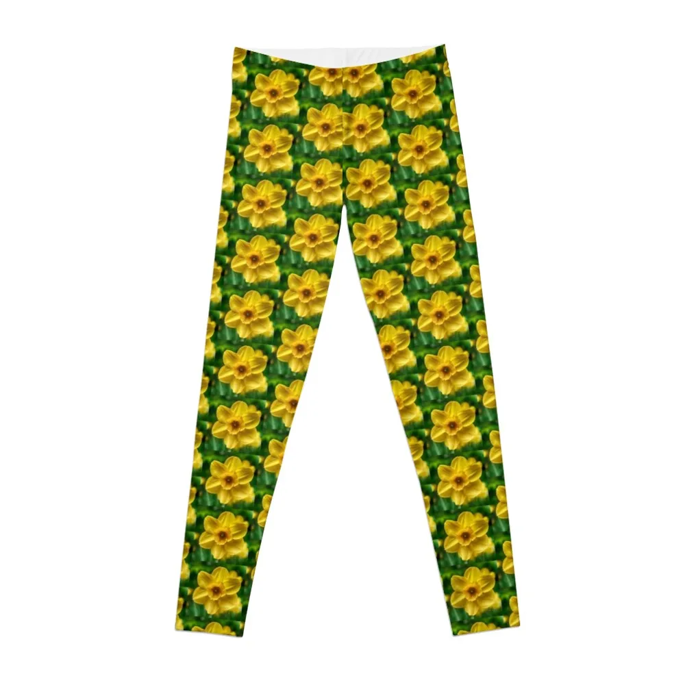 

Daffodil Leggings legging pants raises butt for physical Womens Leggings