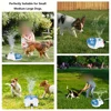 Pet Outdoor Step-on Press Type Summer Outdoor Feeding Waterer Step-on Waterer Dog Step-on Water Toy Outdoor Pet Interactive Toy 5