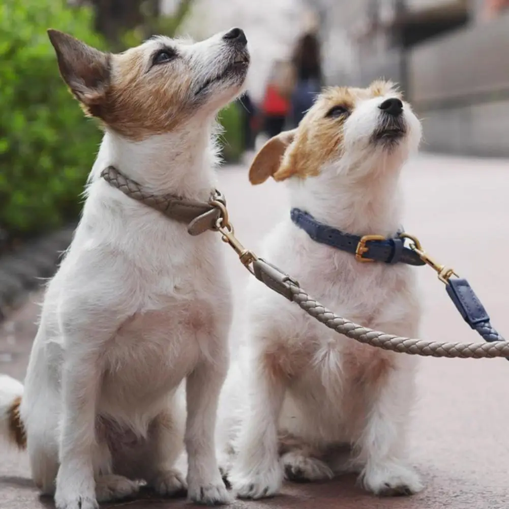 Ultra-Light Useful Nicely Designed Puppy Harness Collar Dog Collar Long Lasting Puppy Friendly to Skin Pet Supplies