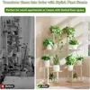 Indoor Plant Stand with Grow Light 2 Pack Metal 5 Tier Corner Plant Shelf Sturdy Easy Assembly Multi-functional Display Rack 5