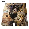 New Fashion Cute Cat Graphic Board Shorts For Men 3D Printed Casual Unisex Funny Animal Beach Swimming Shorts Men Trunks 1
