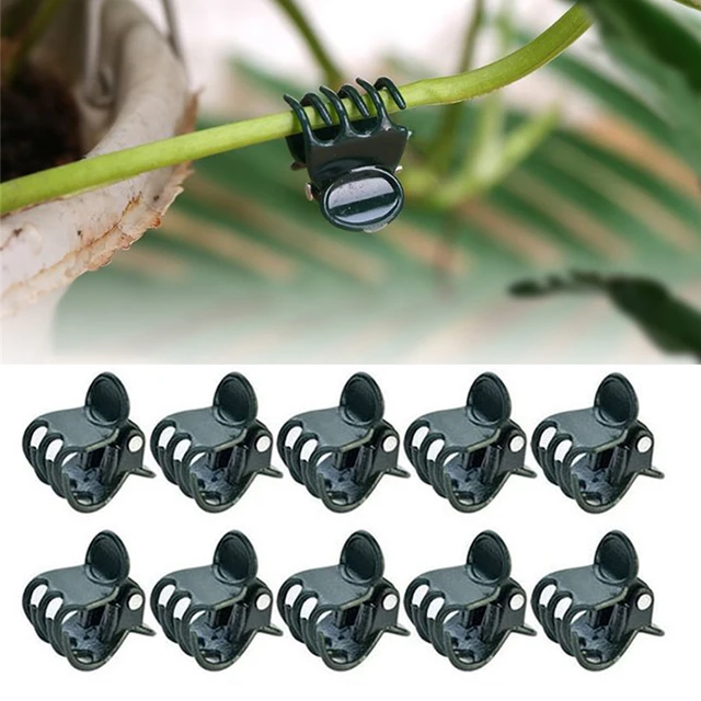 200/100/20Dics Kerti Növényi Tartó Klipek Műanyag Pillangó Orchidea Szőlőgyilkos Palánták Oltó Készletek Szerszám