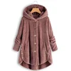Autumn Winter Coat Women Warm Teddy Bear Coat Wool Jacket Female Plush Coat Hooded Jacket New Women's Coats Solid Color Jacket 2