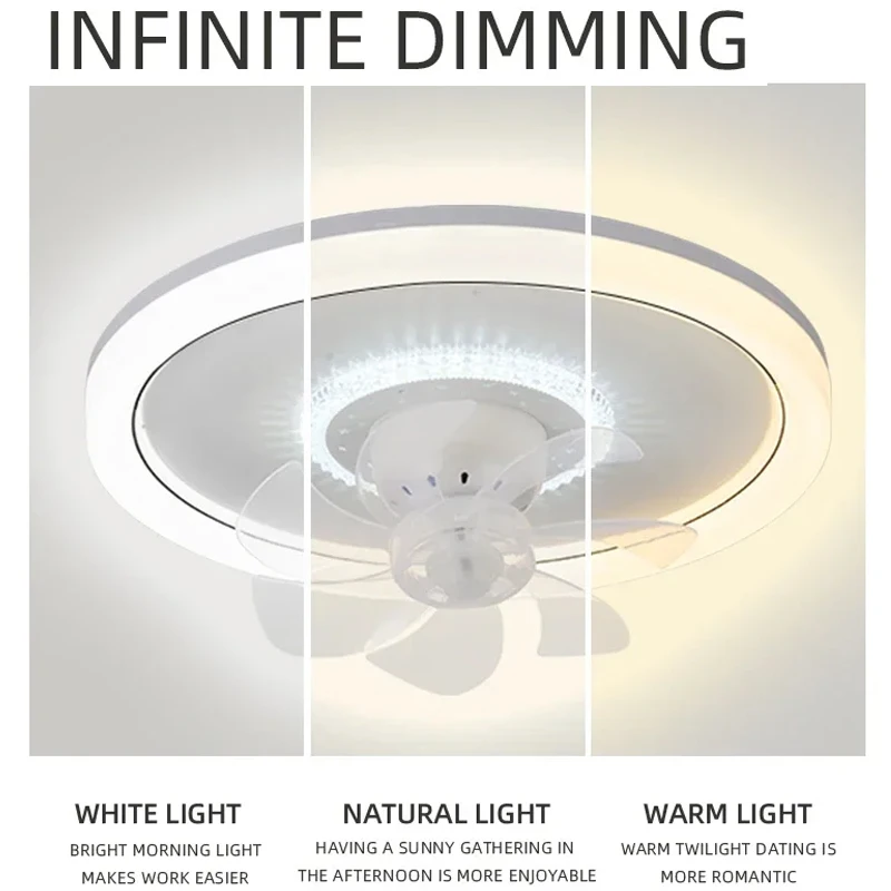 LED Modern Ceiling Fan Light 360&deg; Rotation Function Light Remote Unlimited Adjustment Bedroom Decorative Lighting