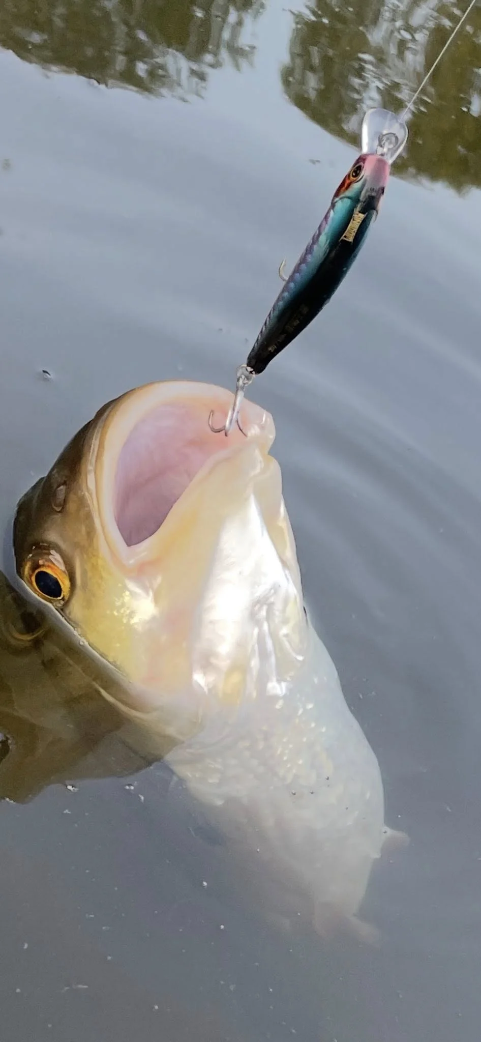 Kingdom Artist Hard Minnow 6g 9g 14g 18,6g 60mm 80mm 95mm 105mm Künstliche Jerkbait Wobbler Sinking Swimbait Forellenköder – Detail 1