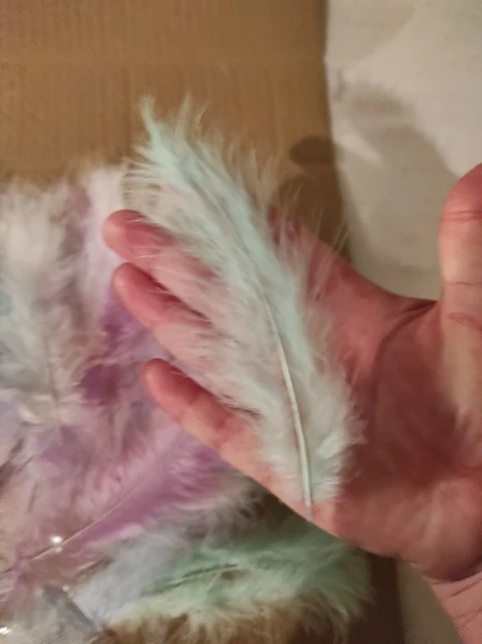 4-6 Inches Natural Turkey Marabou Feathers Fluffy 50 PCS For Wedding Dress DIY Jewelry Decoration Decorative Accessories Feathers craft feathers natural feathers turkey feathers