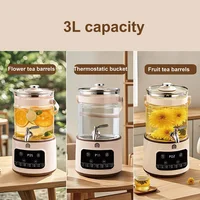 Bouilloire électrique 3L, robinet multifonction, Pot de santé, théière à fleurs en verre, rendez-vous au bureau, Machine à thé, seau à thé aux fruits Commercial 2