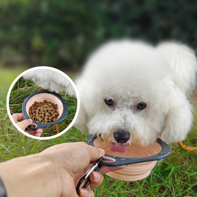 Collapsible Silicone Pet Food and Water Bowl with Carabiner