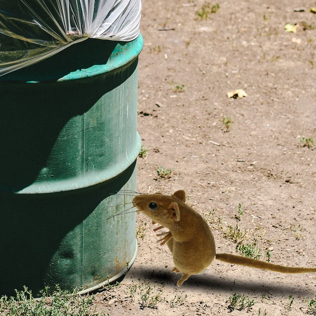 3X Élénk Egér Utánzás Állati Hűtőmágneses Játékok Egerek Kültéri Kerti Gyepfa Dekoráció Virág Edény Miniatűr Kézműves - Image 3