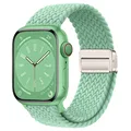 Pistachio color