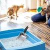 1pc Cat Sand Cleaning For Dog Cat Clean Feces Supplies Cat Litter Shovel Pet Cleanning Tool Pet Products Metal Long Handle Scoop 6