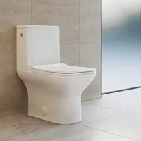 Carre One-Piece Square Toilet Dual-Flush 1.1/1.6 gpf, Touchless White, squat potty, toliet 1