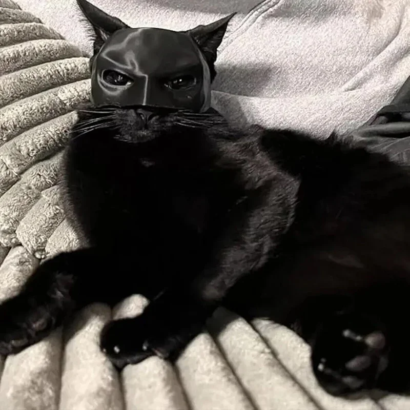 3D 인쇄 고양이 박쥐 어벤저 마스크, 개 재미있는 헤드셋, 고양이 머리 장식, 창의적인 애완 동물 마스크, 얼굴 장식 코스프레, 신제품