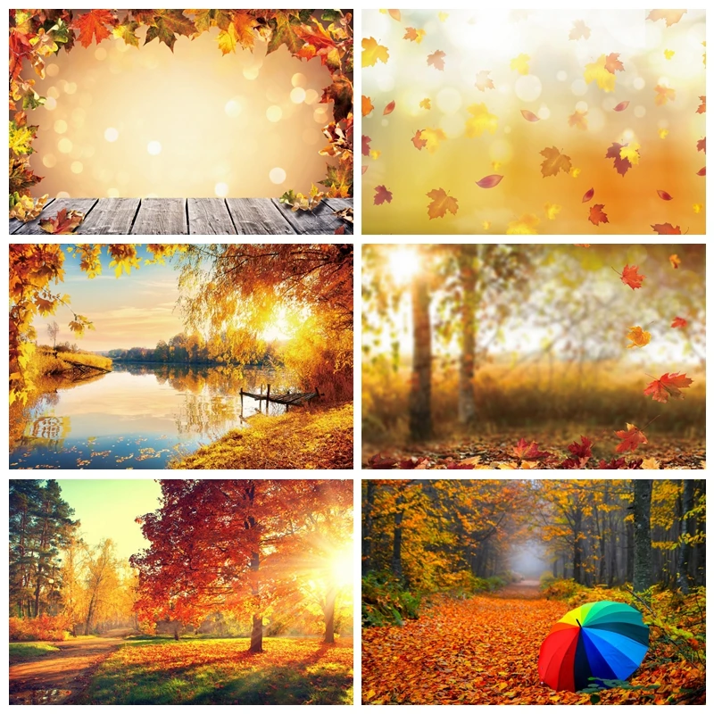 가을 숲 풍경 사진 배경, 가을 단풍잎, 베이비 샤워 사진 배경, 스튜디오 촬영..