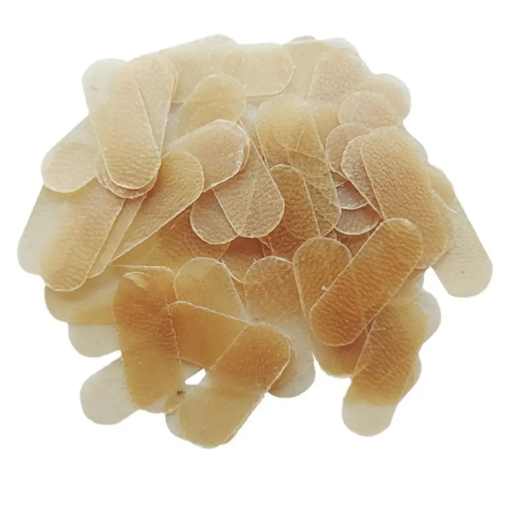 New 5/10Pcs Cello Bridge Parchment Protect E String String Protectors Parchment Instruments Parts Sheepskin Protection Pad Cello