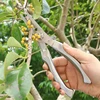 Effort-saving Rebound Pruning Shears All-steel Elbow Thick Branch Fruit Branch Shears Garden Flower Bonsai Pruning Tool 6