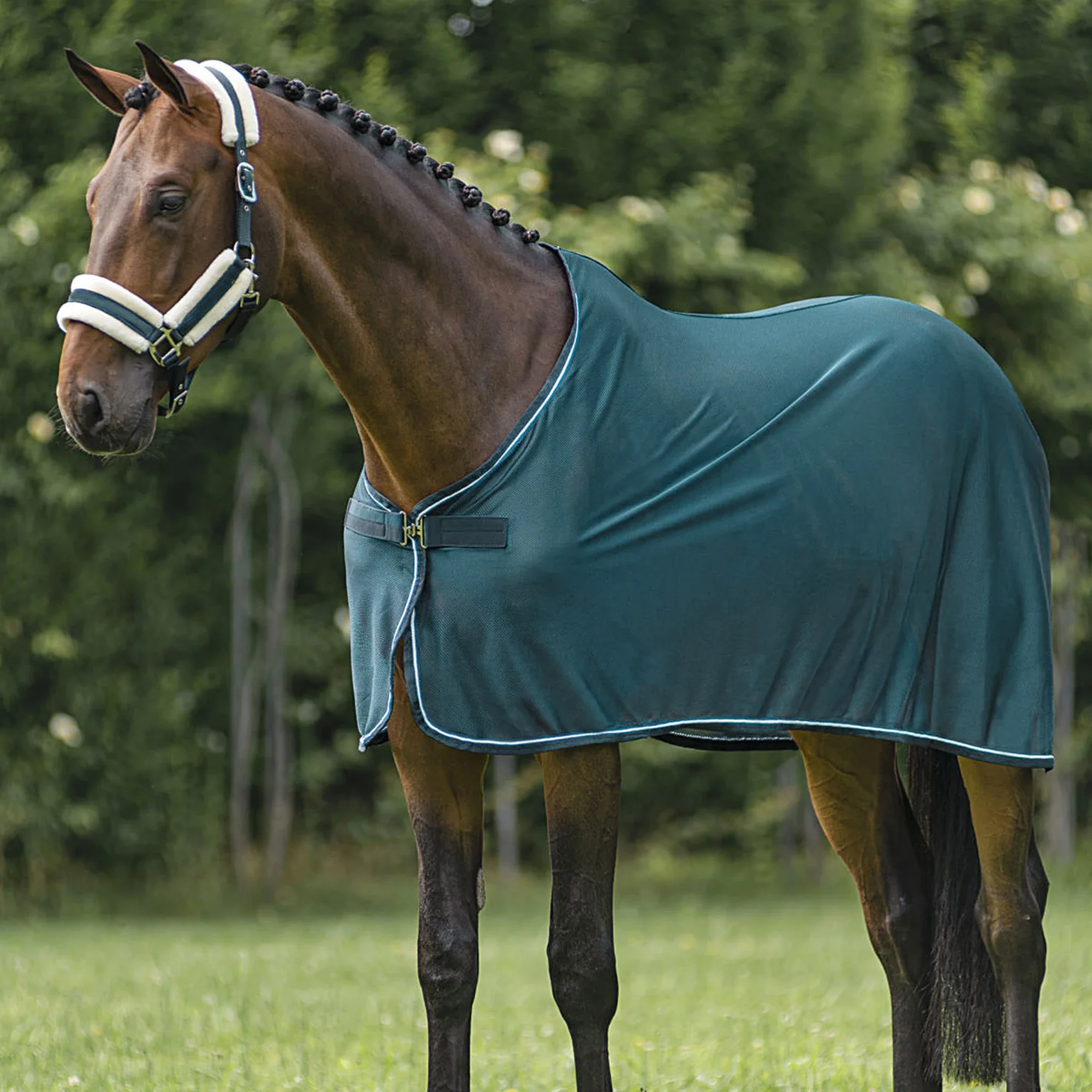 Equestrian Equipment Customize Equine Blanket Breathable Mesh Horse Rug High Quality Horse Sheet for Summer