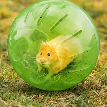 10/12 centimetri Criceto Palla Sportiva Palla di Sport All'aria Aperta Grounder Rat Piccolo Animale Domestico Roditore Mouse Palla Palline Ratto Criceto Gerbil Ratto Giocattolo di Esercizio