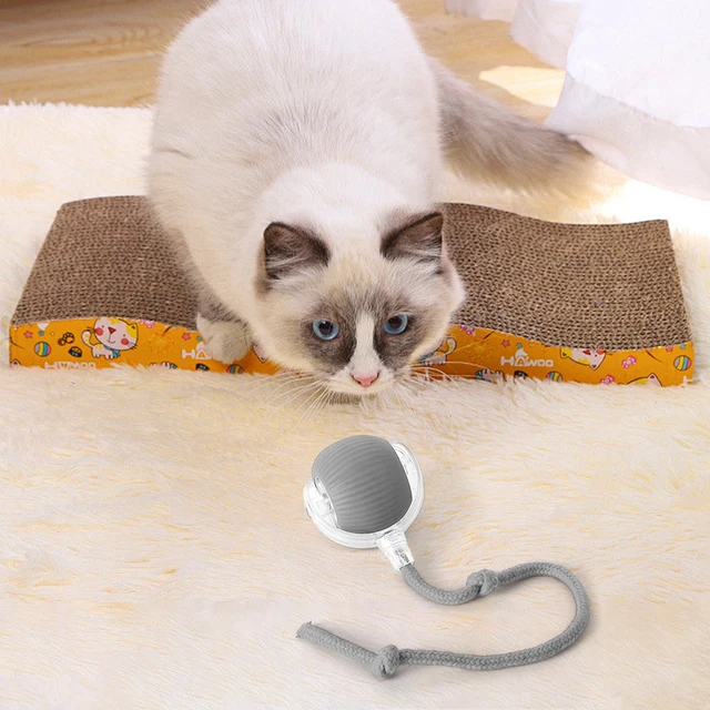 Interactive Cat Toys Ball Automatic Bouncing Ball 3 Modes Motion Activate Cat Toy with Rope Pet Exercise Toy Pet Supplies 2