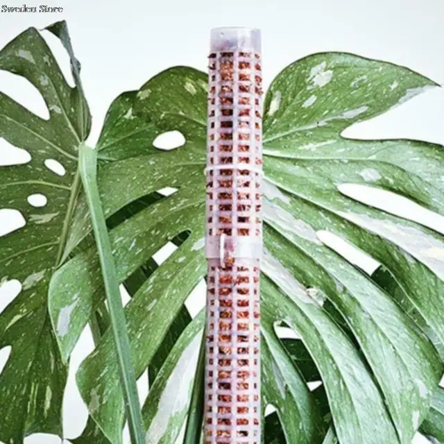 25 Cm 50 -Es Hegymászó Növényi Pólus Sphagnum Moha Botok Növekvő Tartó Botmászó Növénytermesztés 1Dc