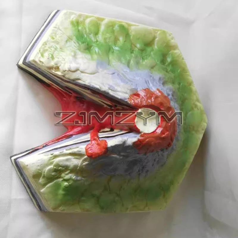 지리 화산 분출 모델, 중학교 교육 보조기구, 지형 교육 모델, 교육 도구