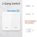 2 Gang Switch