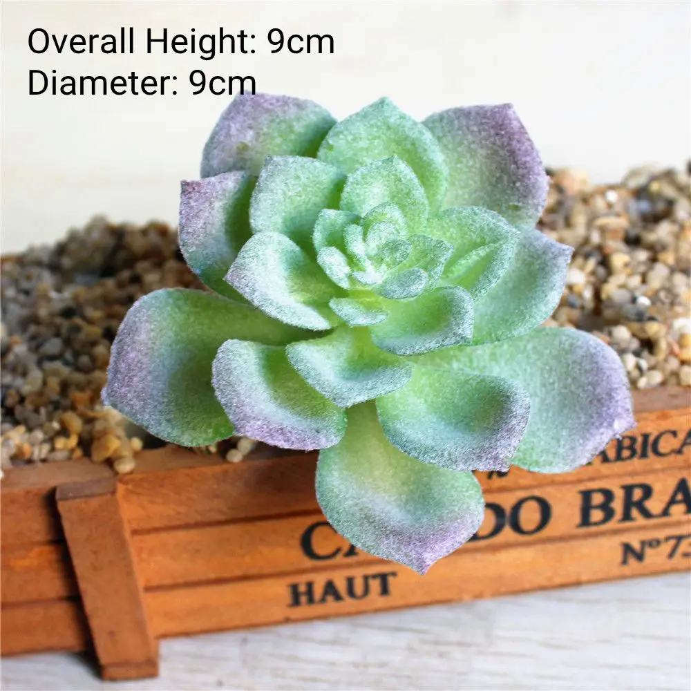 Vibrant Multicolor Flocking Succulent Plants