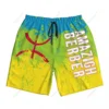 Men's Amazigh Berber Flag Beach Pants Board Shorts Surfing Boys Soccer Cycling Swimwear Running Polyester 4