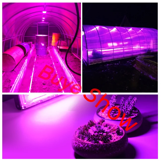 Teljes Spektrum Led Grow Könnyű Fitolamp Növények Sátorvirág Vetőmag 50W Ac 220 V Tartományú Lámpa Kültéri Fényszóró Gring Phyto Doboz - Image 6
