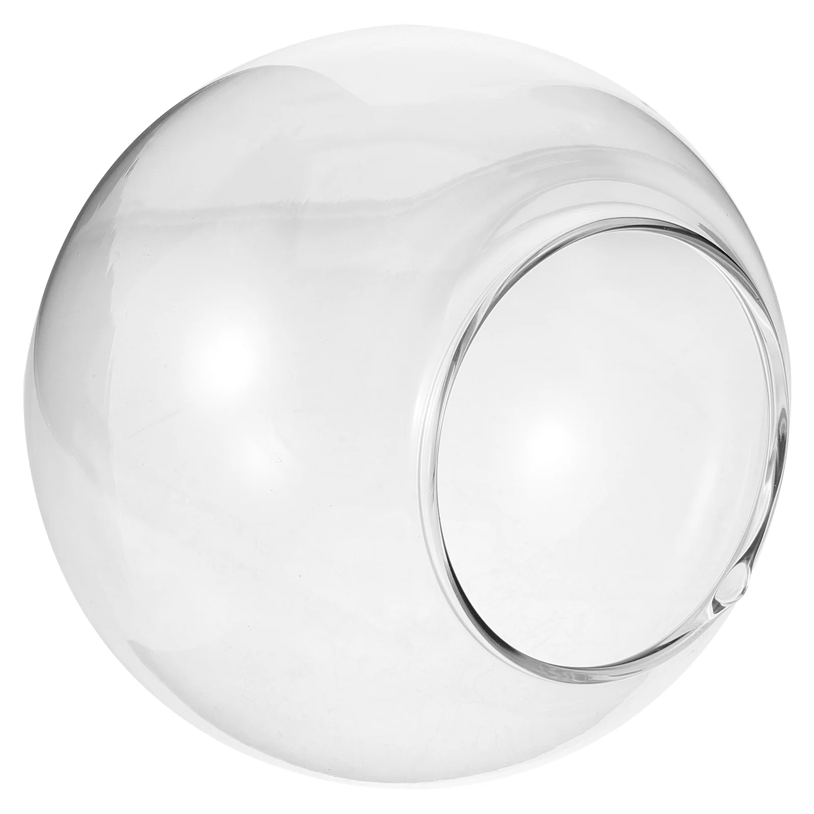 

Glass Lampshade Clear Light Shades Lampshades for Table Fixture Replacement Branches