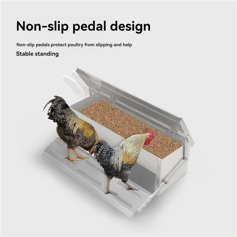 Comedero Automático Para Pollos De 5 Kg - Galvanizado, Con Tapa Que Se Abre Con Su Peso