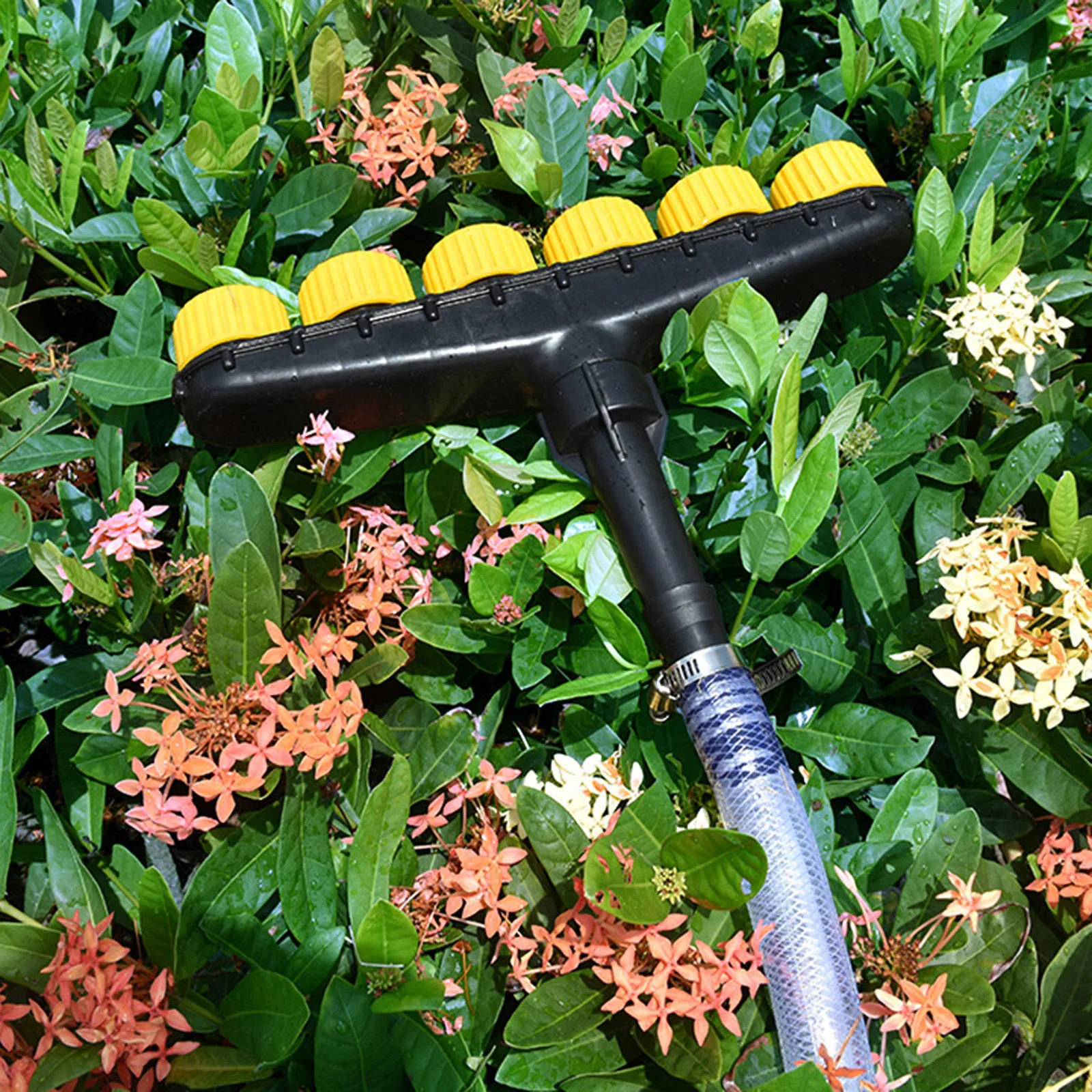 ������Ŭ�� �й��� ��Ƽ Ȧ ������Ŭ�� ���, ���� ���� (6 ���)