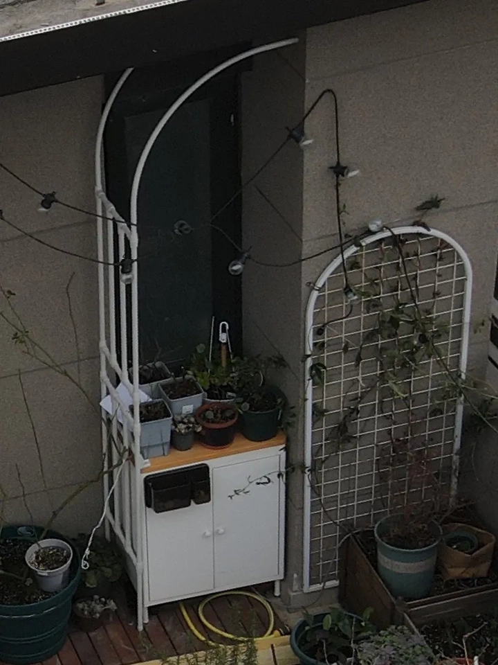 Half Arch Rack for Climbing Plants Outdoor Garden Support for Clematis or Roses Durable Grape Vine Holder Vegetable Grow System