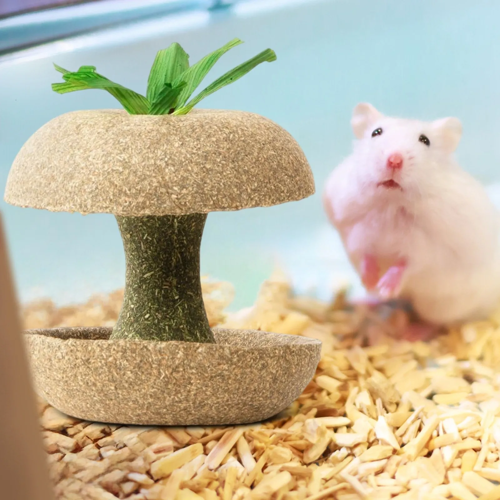 Natural Grass Chewing Sticks For Hamsters And Guinea Pigs_voghion.com