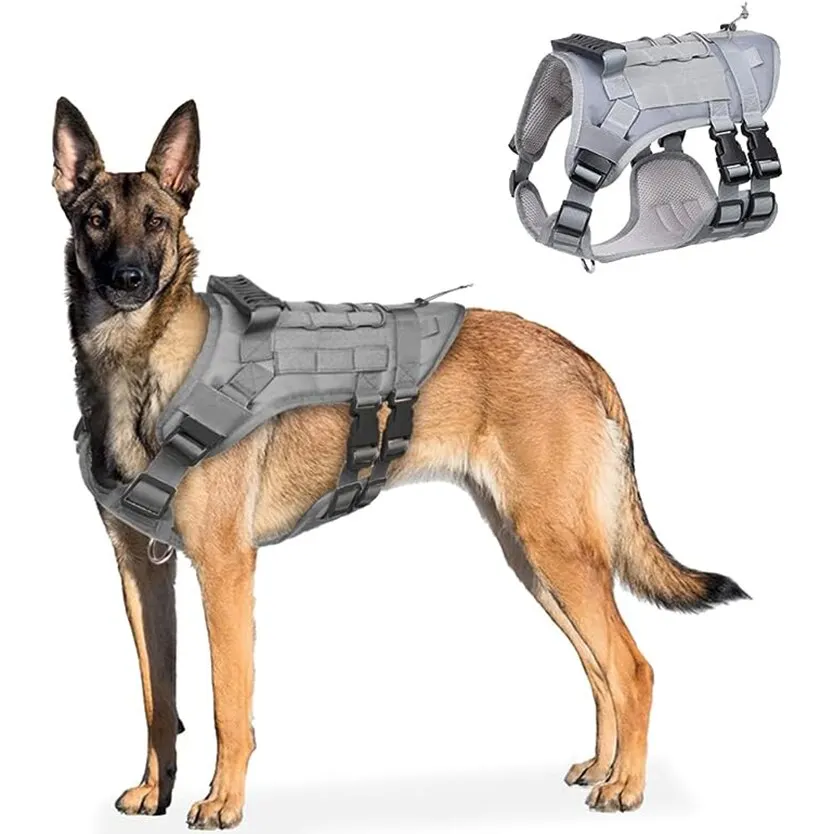 Marine corps best sale dog harness