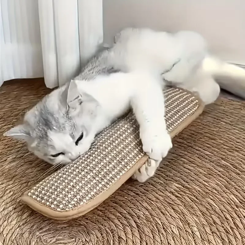 Cat Scratching Toy Pillow Pad 1