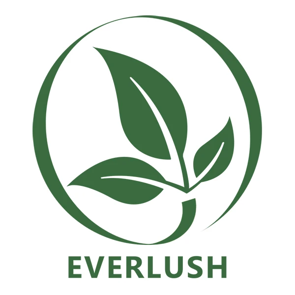 EVERLUSH Store