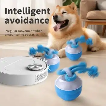 Smart Interactive Rolling Dog Toy 1