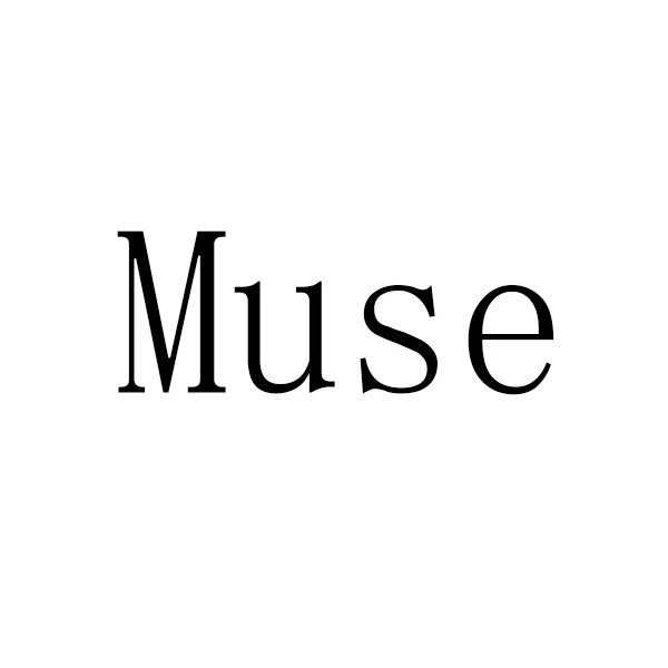 The Muse Store