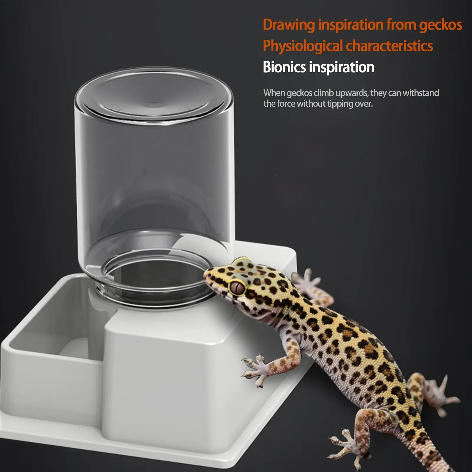 Anti-Slip Turtle Water and Food Bowl with Detachable Automatic Dispenser