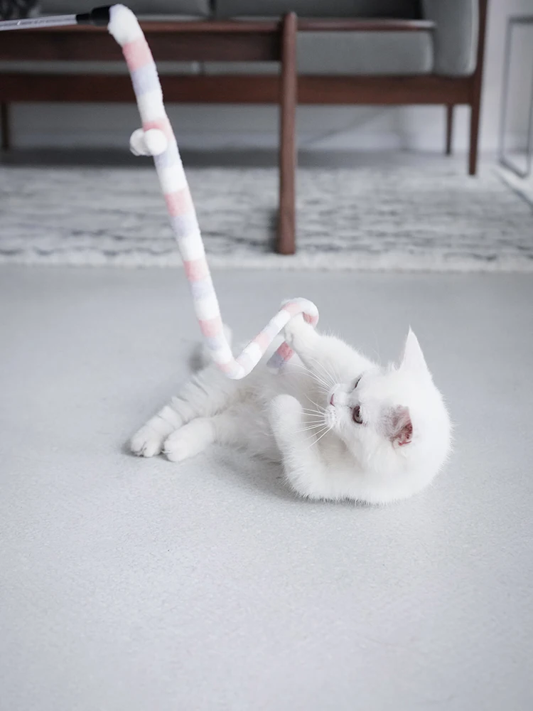 Cat Teaser Toy Feather Wand Interactive Funny Caterpillar Rod Pet Supplies