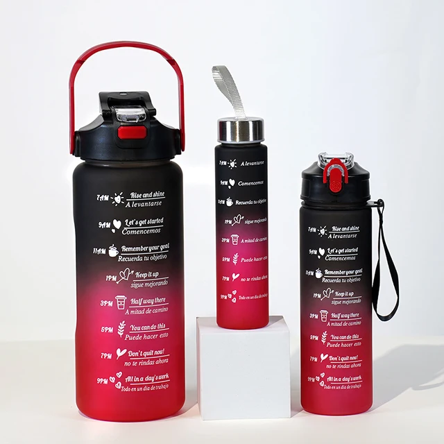 Set of 3 Large Capacity Gradient Sports Water Bottles 300ml 800ml 2000ml with Straw Modern Design in Multiple Colors Drinkware 2
