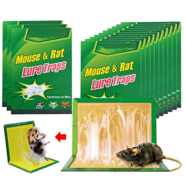 Planches à colle autocollantes non toxiques pour souris, pièges à