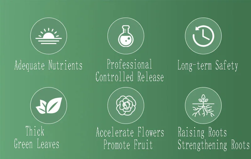 Description Picture 3 of itemPotted Plant General Compound Fertilizer Nitrogen Phosphorus Potassium Fertilizer Granule Slow-release Fertilizer